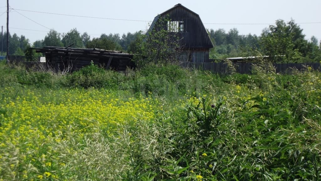 Земельный участок, Лаванда с/о - фото номер 4 Земельный участок, Лаванда с/о - фото номер 4