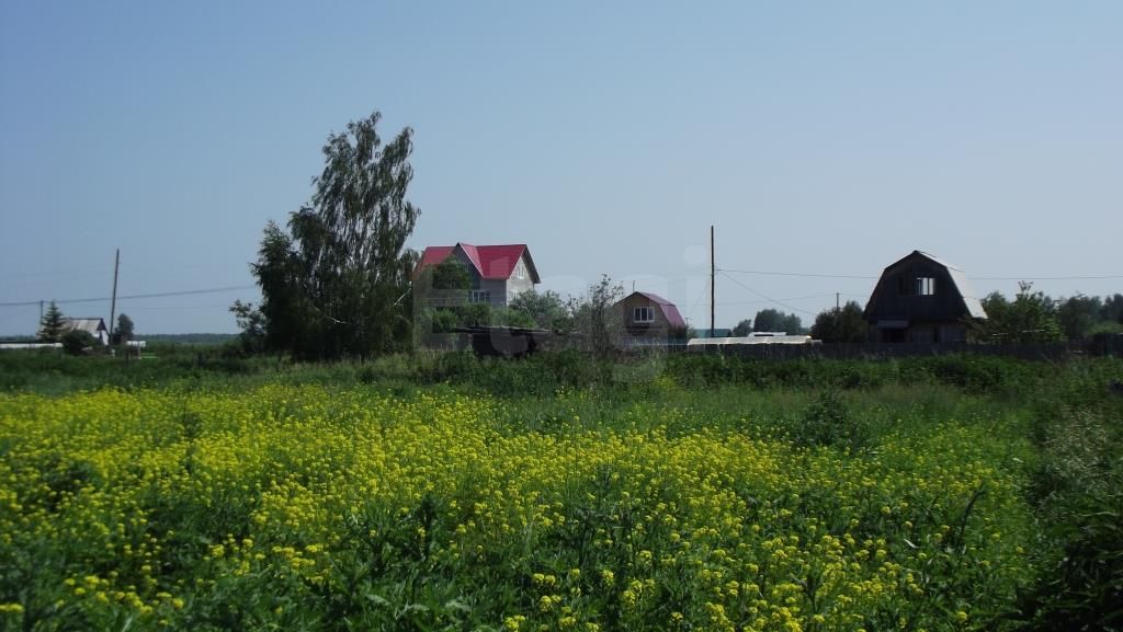 Земельный участок, Лаванда с/о - фото номер 3 Земельный участок, Лаванда с/о - фото номер 3