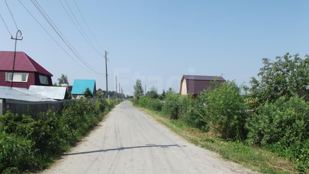 Земельный участок, Лаванда с/о - фото номер 7 Земельный участок, Лаванда с/о - фото номер 7