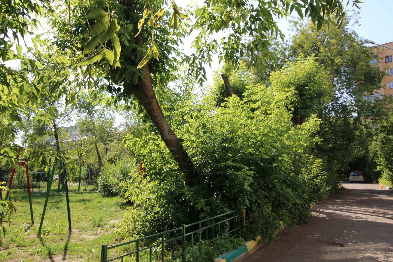 Продажа 1-комнатной квартиры, Красноярск, Тельмана, 15а Продажа 1-комнатной квартиры, Красноярск, Тельмана, 15а