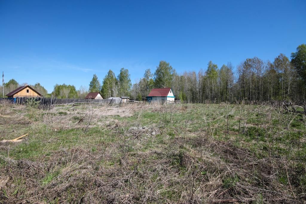 аренда земельного участка в тобольске упавшим