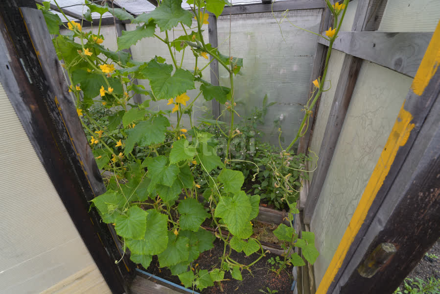 Продажа дома, 57м <sup>2</sup>, 9 сот., Южно-Сахалинск, Сахалинская область,  