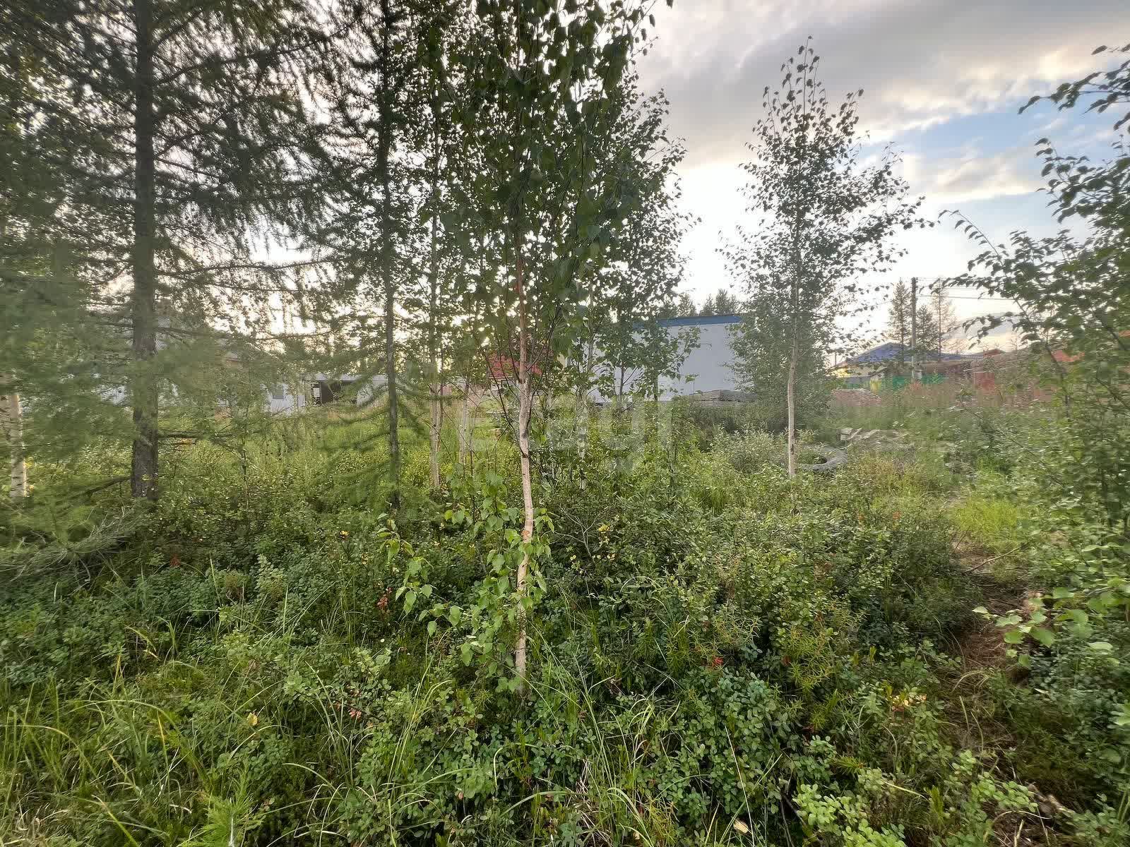 Продажа участка, Новый Уренгой, Ямало-Ненецкий АО,  Южная часть