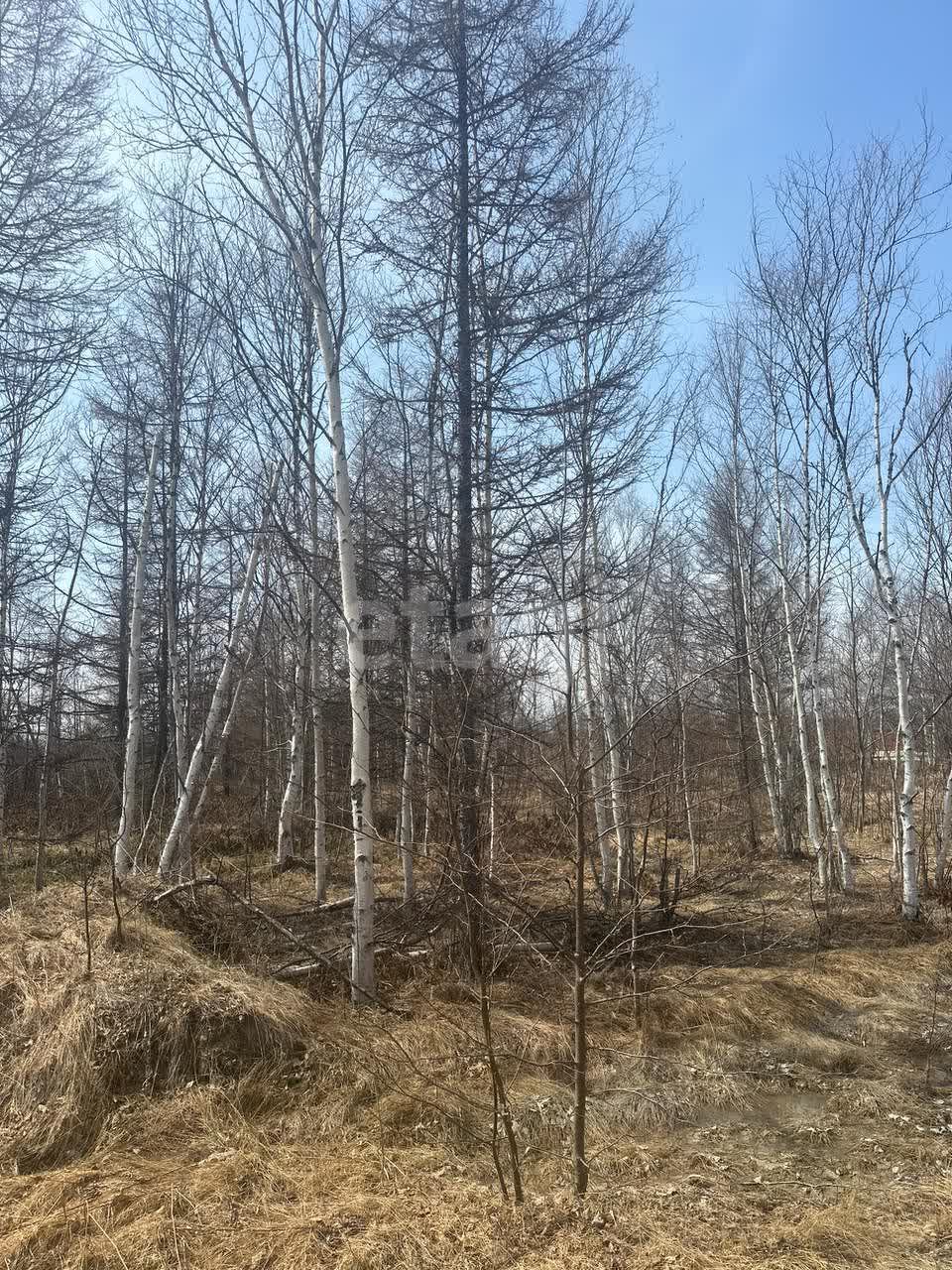 Продажа участка, Южно-Сахалинск, Сахалинская область,  Южно-Сахалинск