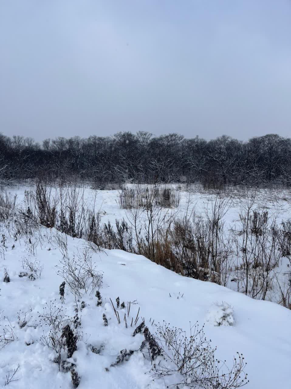 Продажа участка, Южно-Сахалинск, Сахалинская область,  