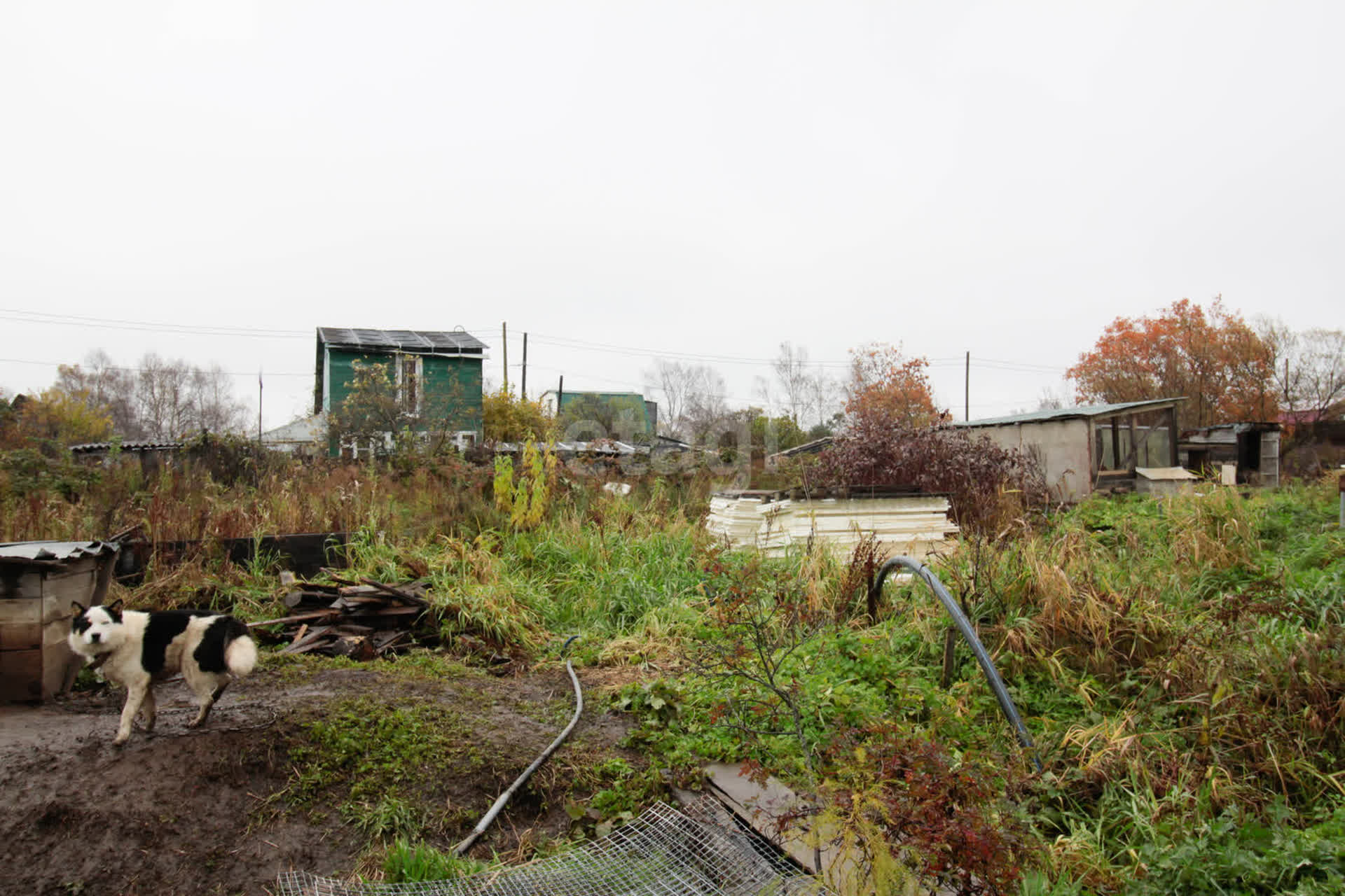 Продажа дома, 61м <sup>2</sup>, 6 сот., Южно-Сахалинск, Сахалинская область,  