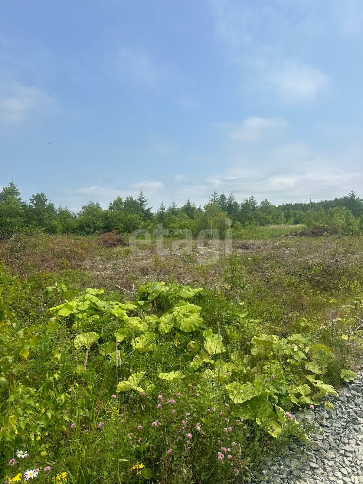 Продажа участка, Южно-Сахалинск, Сахалинская область,  Южно-Сахалинск