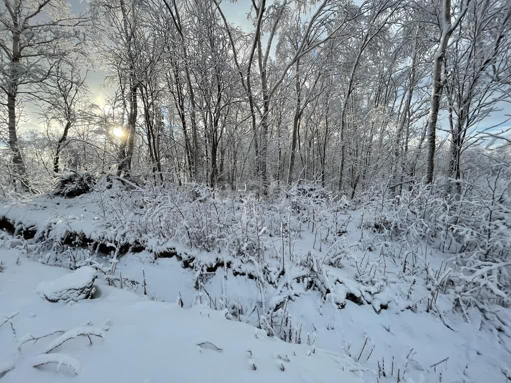 Продажа участка, Южно-Сахалинск, Сахалинская область,  Южно-Сахалинск