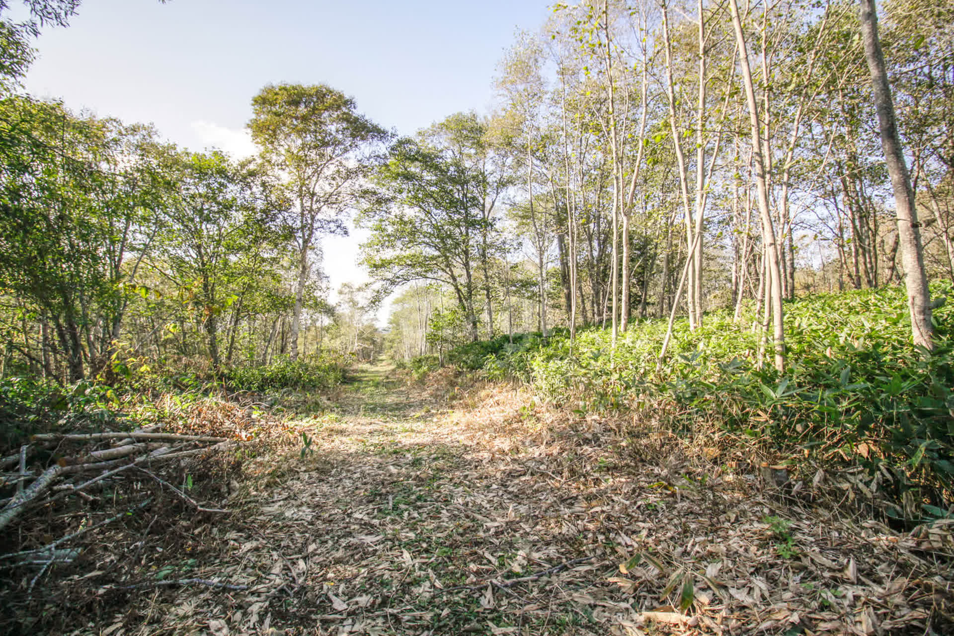 Продажа участка, Южно-Сахалинск, Сахалинская область,  Южно-Сахалинск