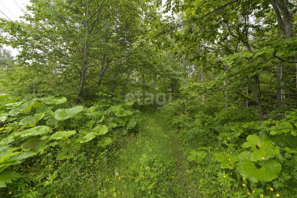 Продажа участка, Южно-Сахалинск, Сахалинская область,  Южно-Сахалинск