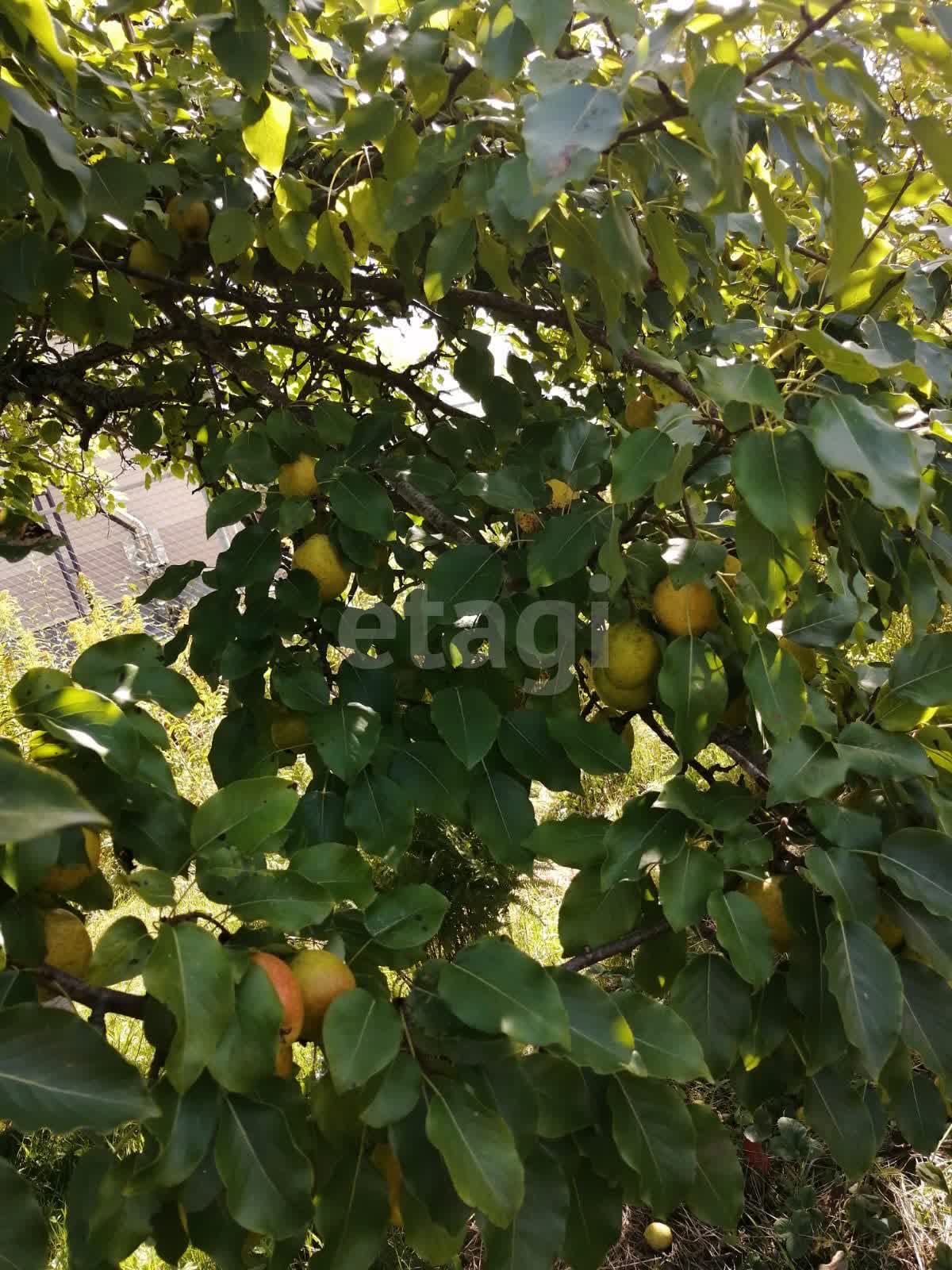 Продажа дачи, 30м <sup>2</sup>, 7 сот., Южно-Сахалинск, Сахалинская область,  