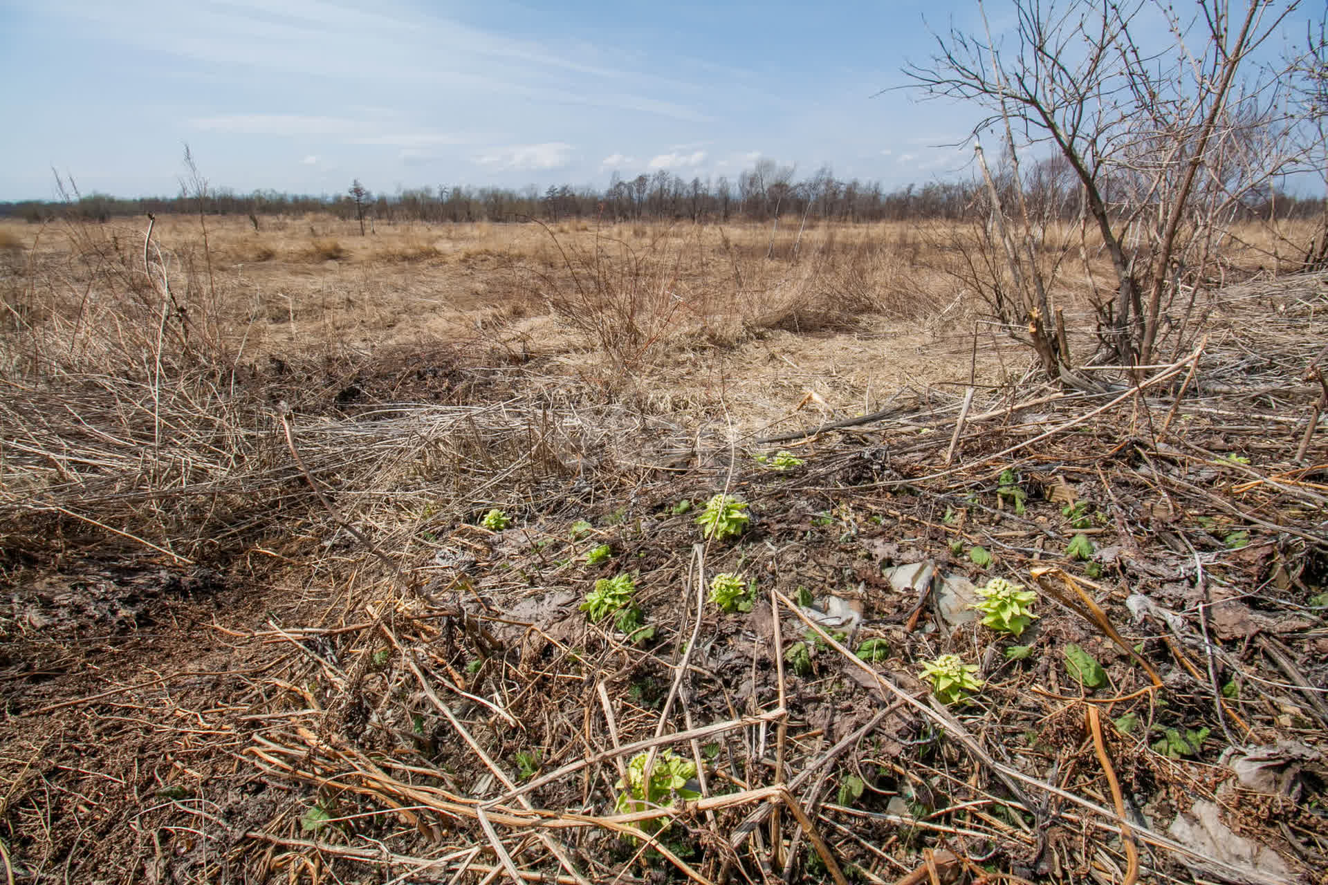 Продажа участка, Южно-Сахалинск, Сахалинская область,  Южно-Сахалинск