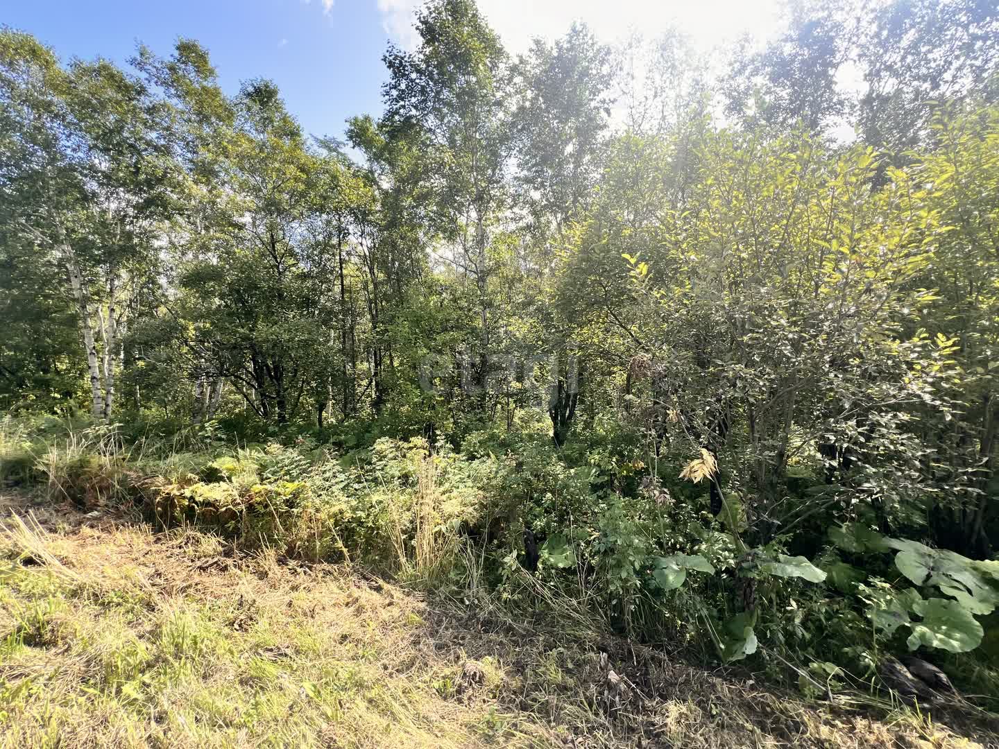 Продажа участка, Южно-Сахалинск, Сахалинская область,  Южно-Сахалинск