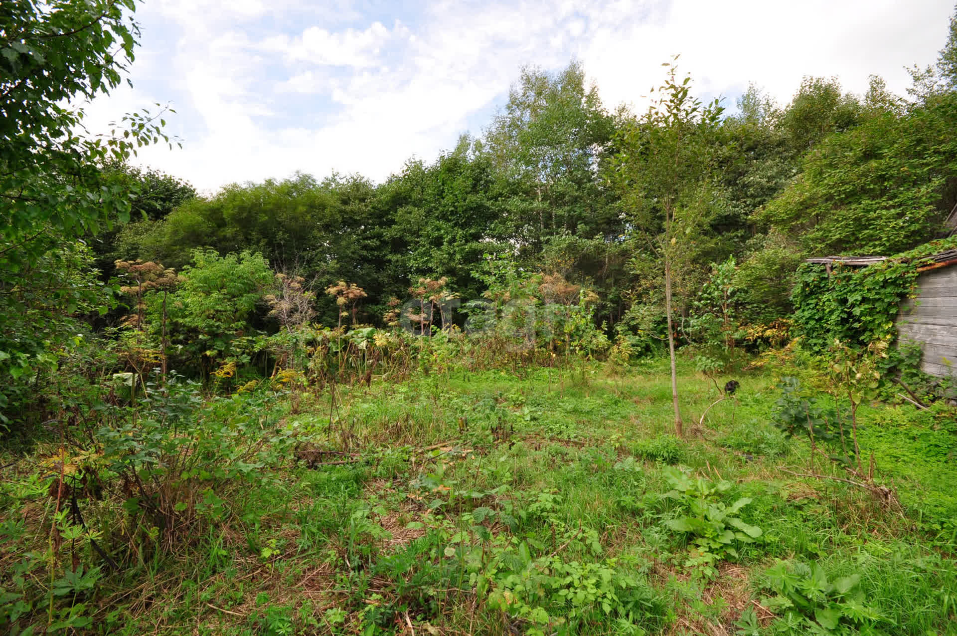 Продажа дачи, 8м <sup>2</sup>, 6 сот., Южно-Сахалинск, Сахалинская область,  Южно-Сахалинск