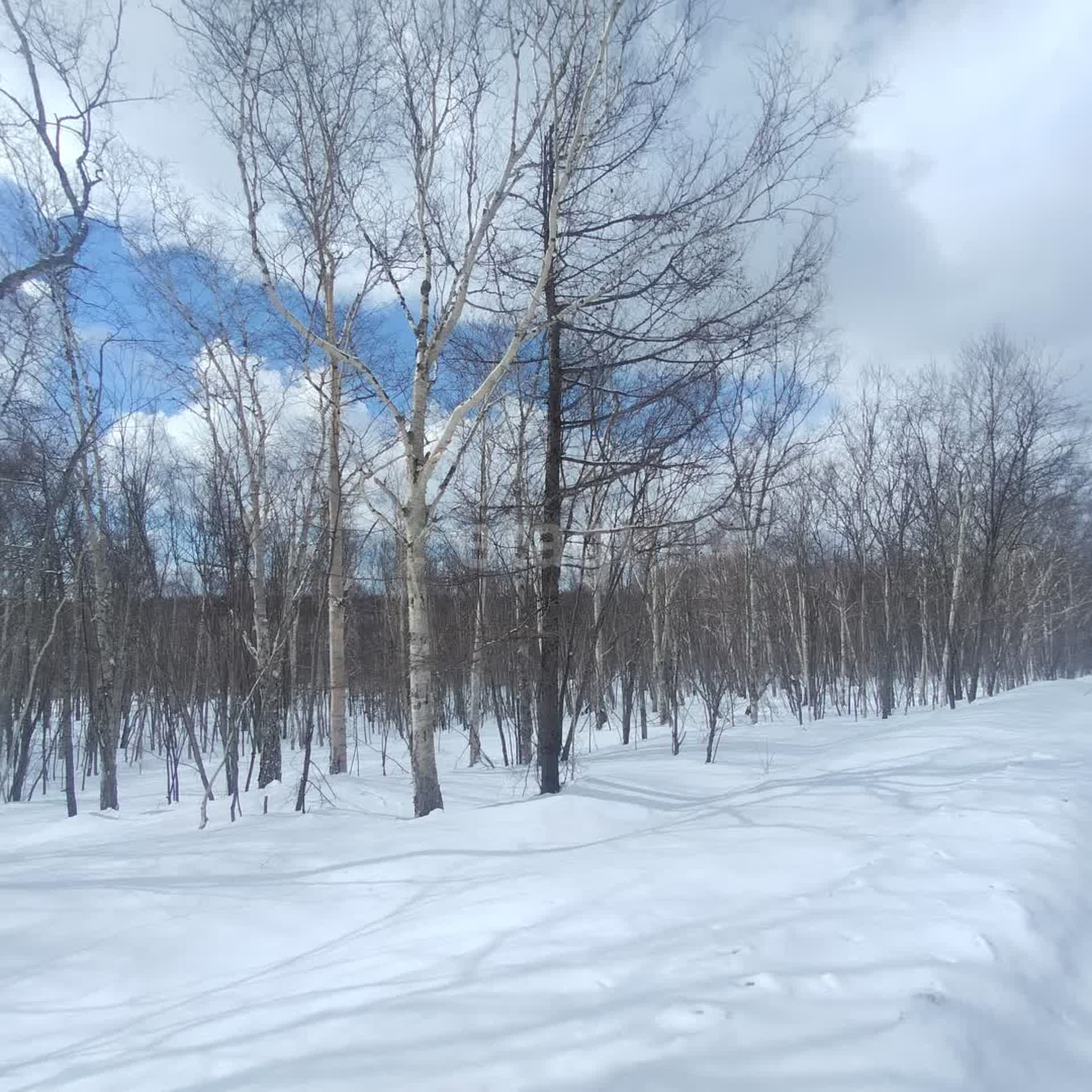 Продажа участка, Южно-Сахалинск, Сахалинская область,  Южно-Сахалинск