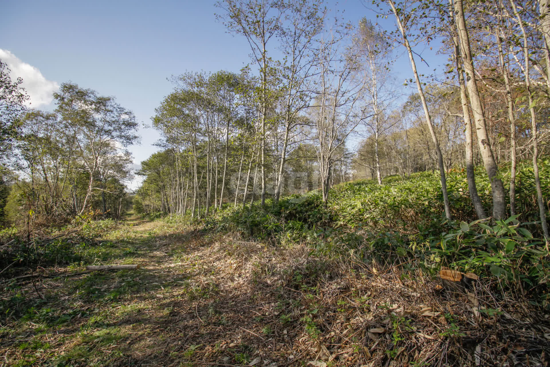 Продажа участка, Южно-Сахалинск, Сахалинская область,  Южно-Сахалинск