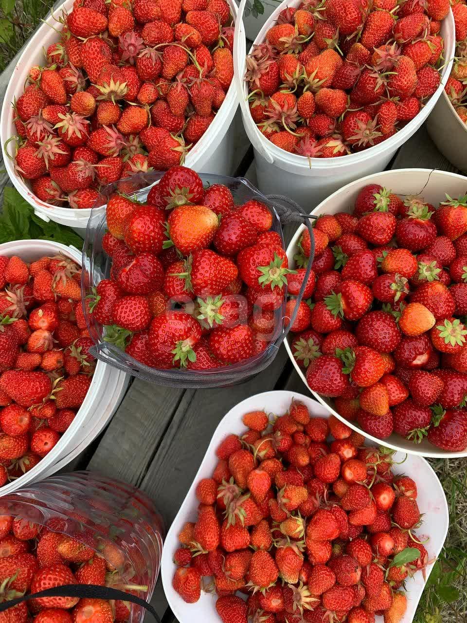 Продажа дома, 60м <sup>2</sup>, 30 сот., Южно-Сахалинск, Сахалинская область,  Южно-Сахалинск