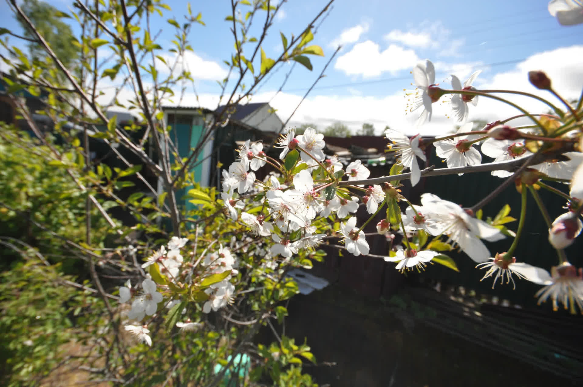 Продажа дачи, 21м <sup>2</sup>, 12 сот., Южно-Сахалинск, Сахалинская область,  Южно-Сахалинск