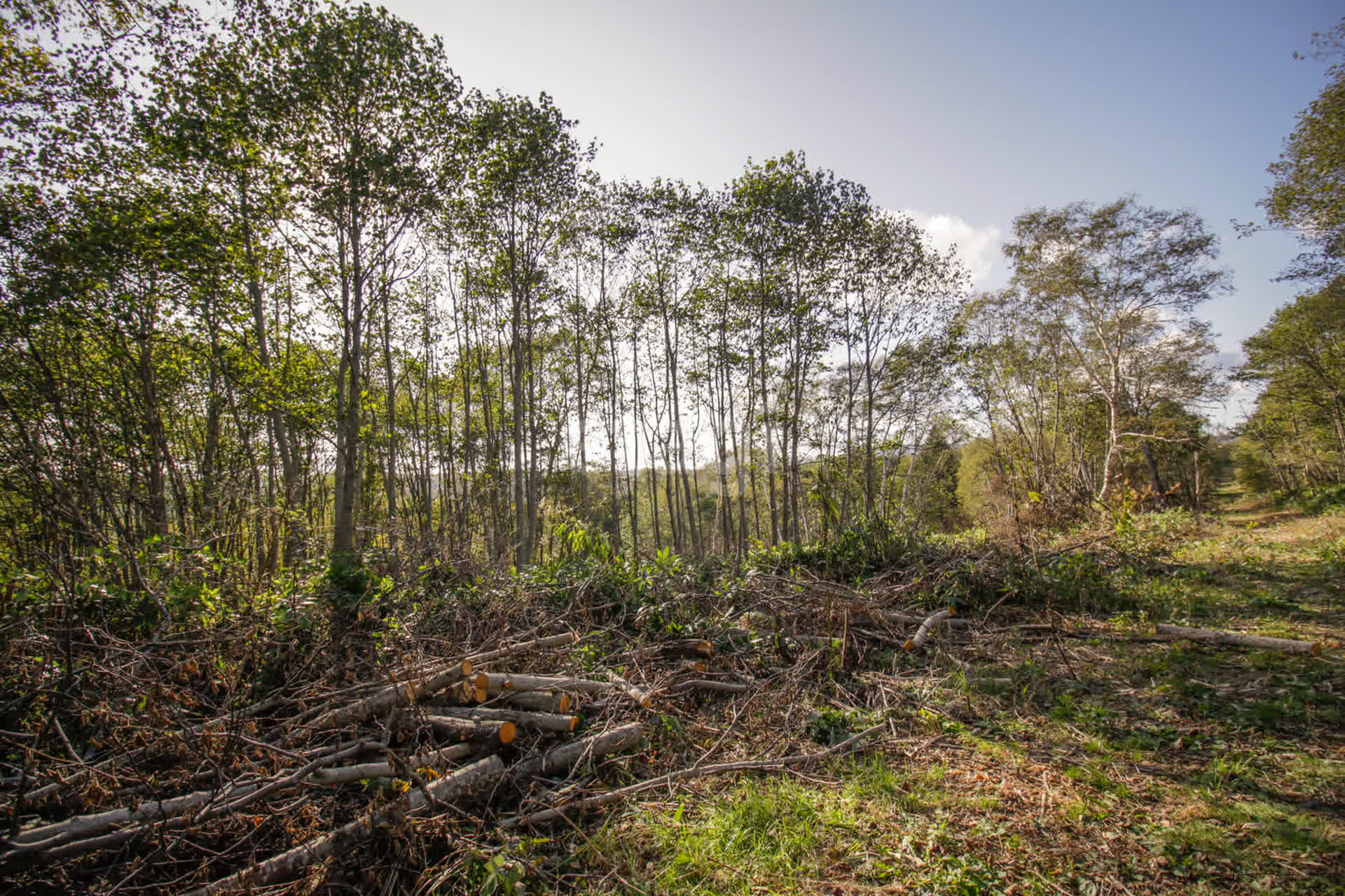 Продажа участка, Южно-Сахалинск, Сахалинская область,  Южно-Сахалинск