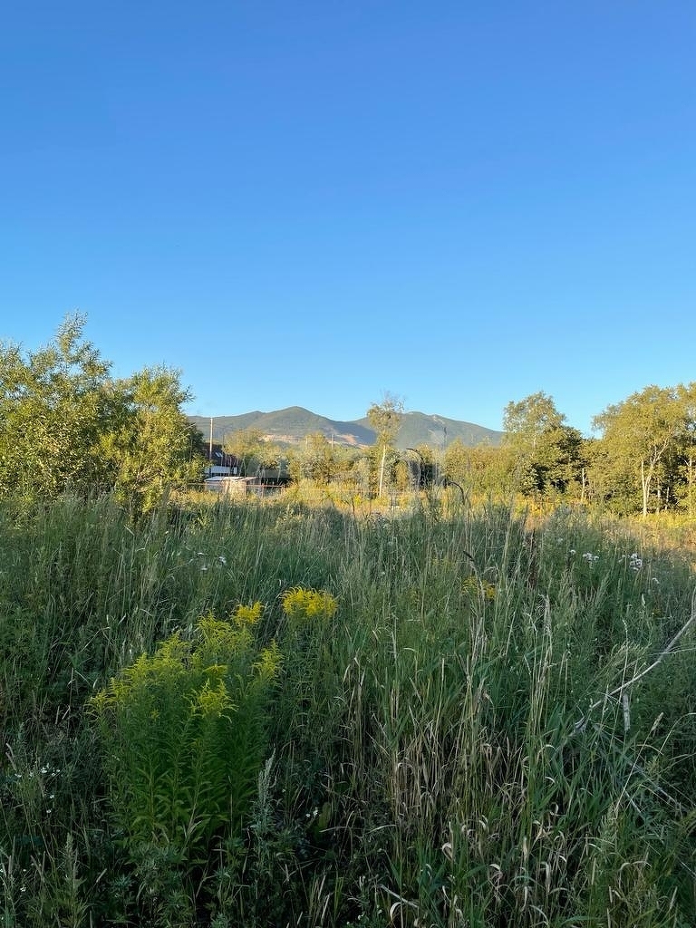 Продажа участка, Южно-Сахалинск, Сахалинская область,  