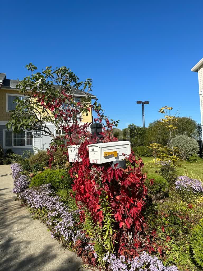 Продажа дома, 224м <sup>2</sup>, 25 сот., Южно-Сахалинск, Сахалинская область,  