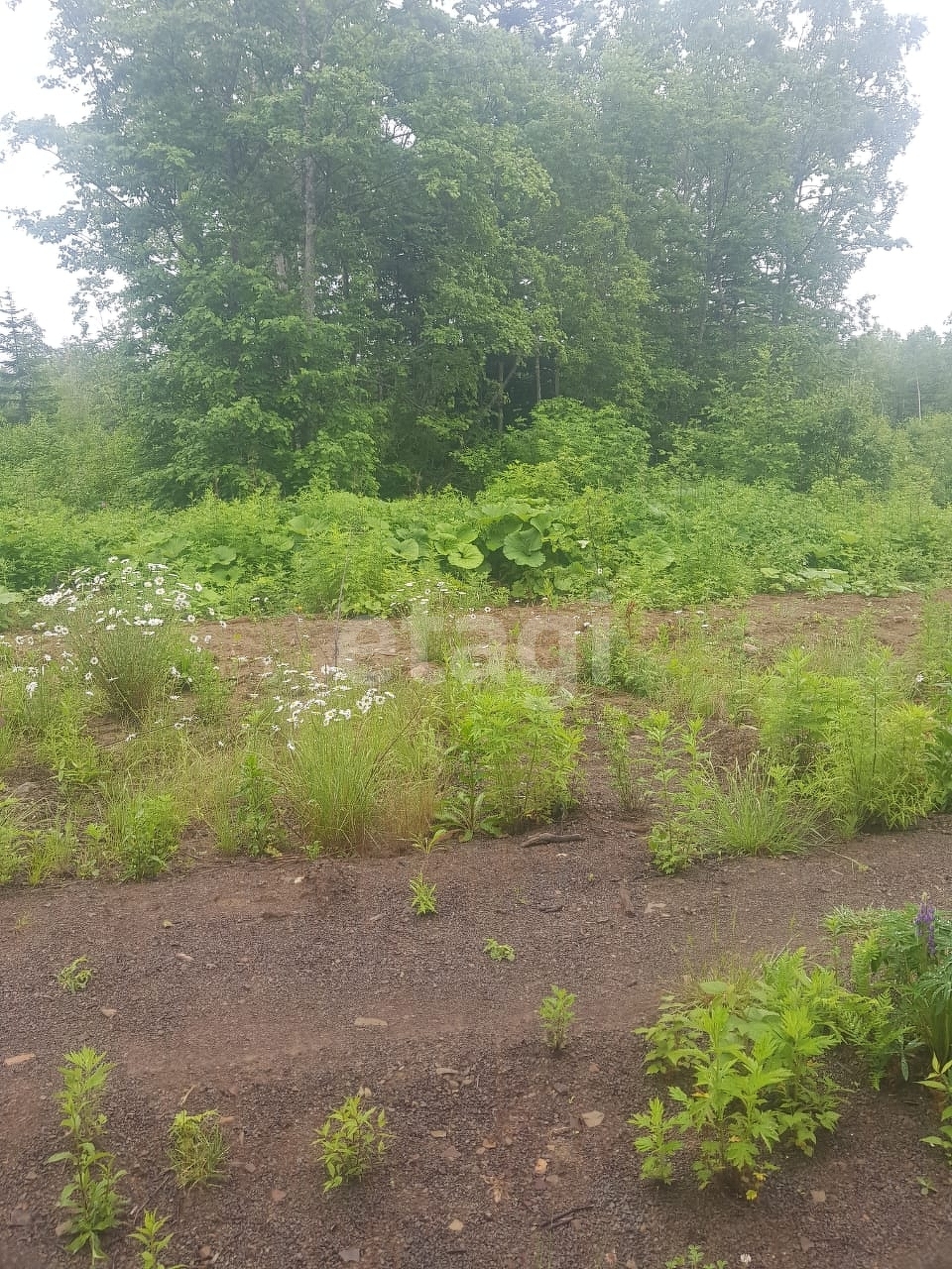 Продажа участка, Южно-Сахалинск, Сахалинская область,  Южно-Сахалинск