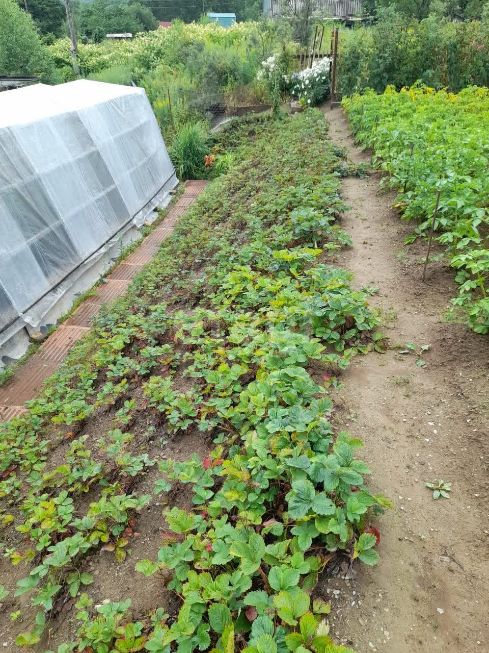 Продажа участка, Южно-Сахалинск, Сахалинская область,  