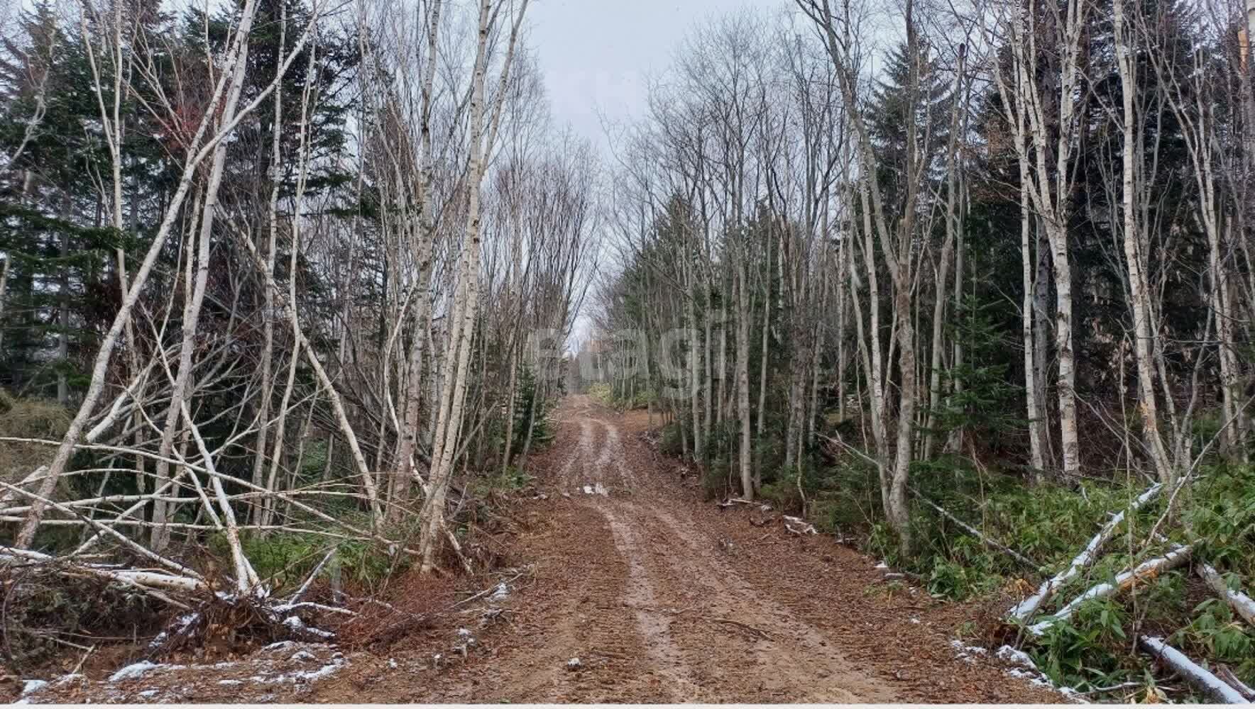 Продажа участка, Южно-Сахалинск, Сахалинская область,  Южно-Сахалинск