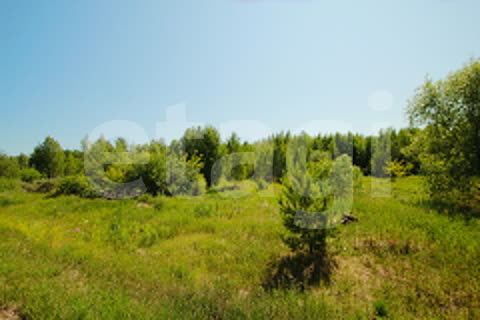 Продажа участка, Южно-Сахалинск, Сахалинская область,  Южно-Сахалинск