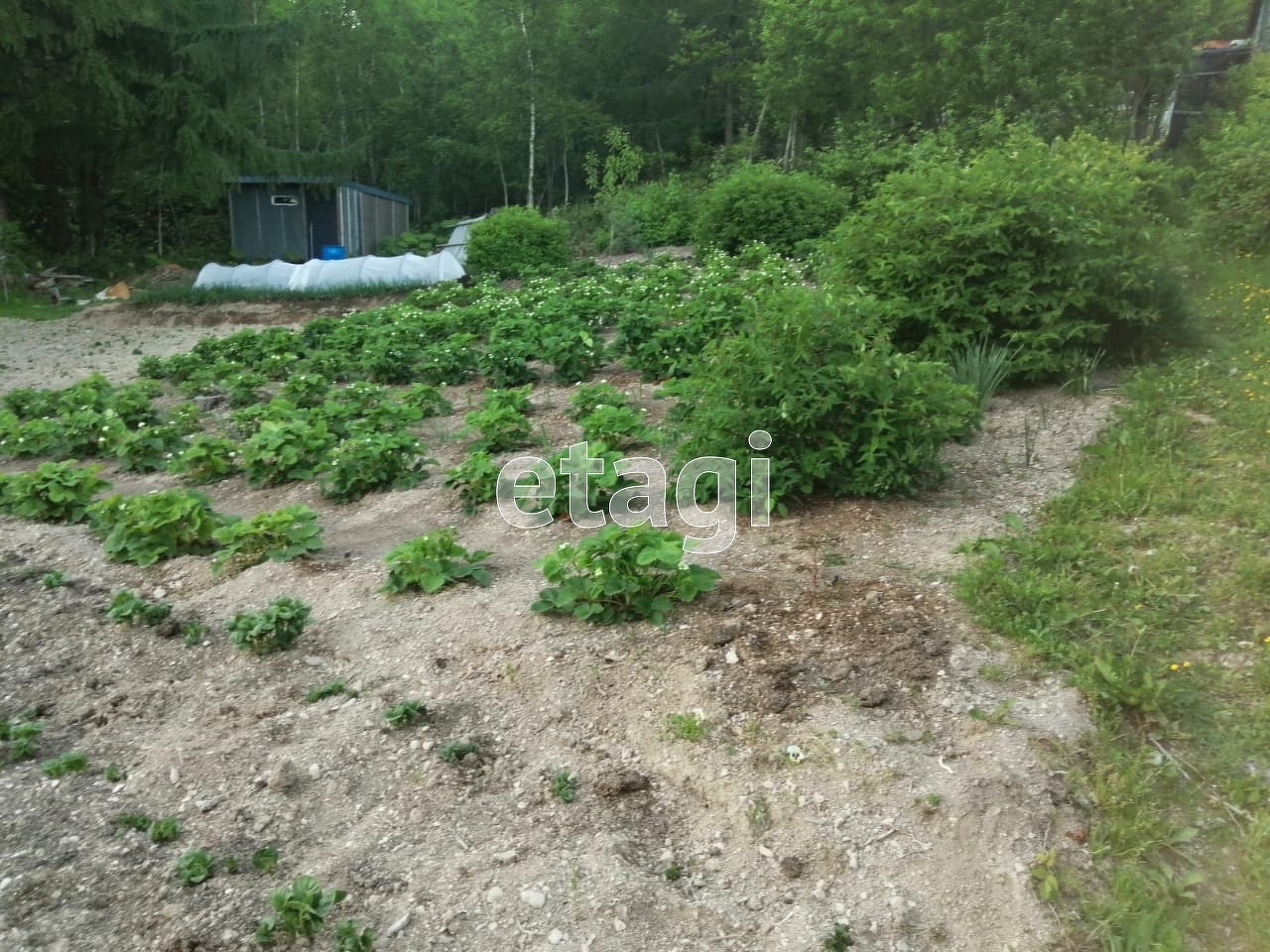 Продажа участка, Южно-Сахалинск, Сахалинская область,  