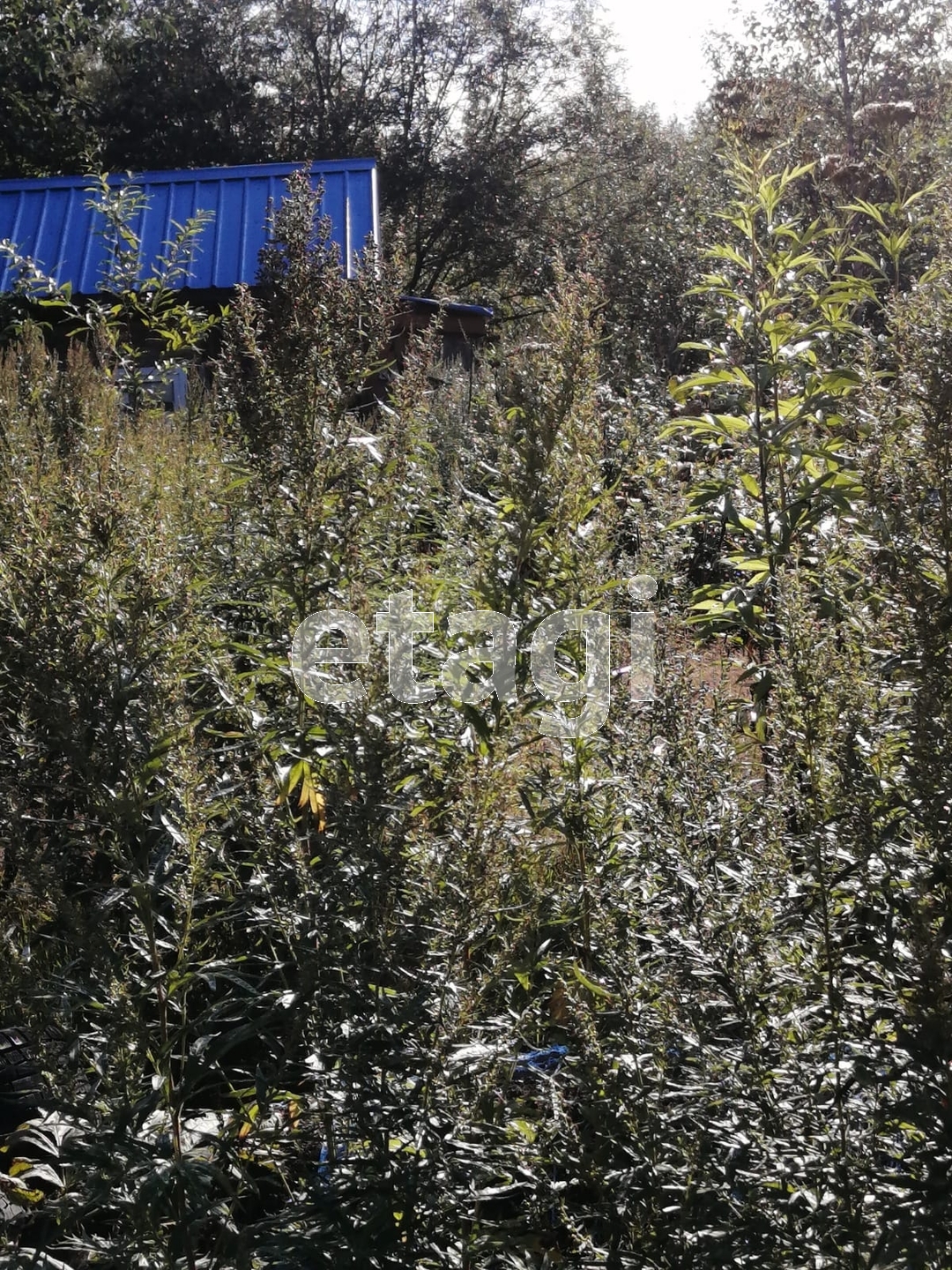 Продажа дома, 42м <sup>2</sup>, 11 сот., Южно-Сахалинск, Сахалинская область,  Южно-Сахалинск