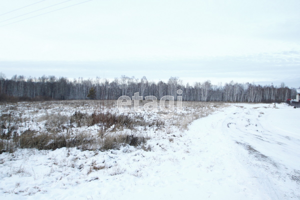 Погода в тугарском тюменская. Поселок Тугарский Тюмень.