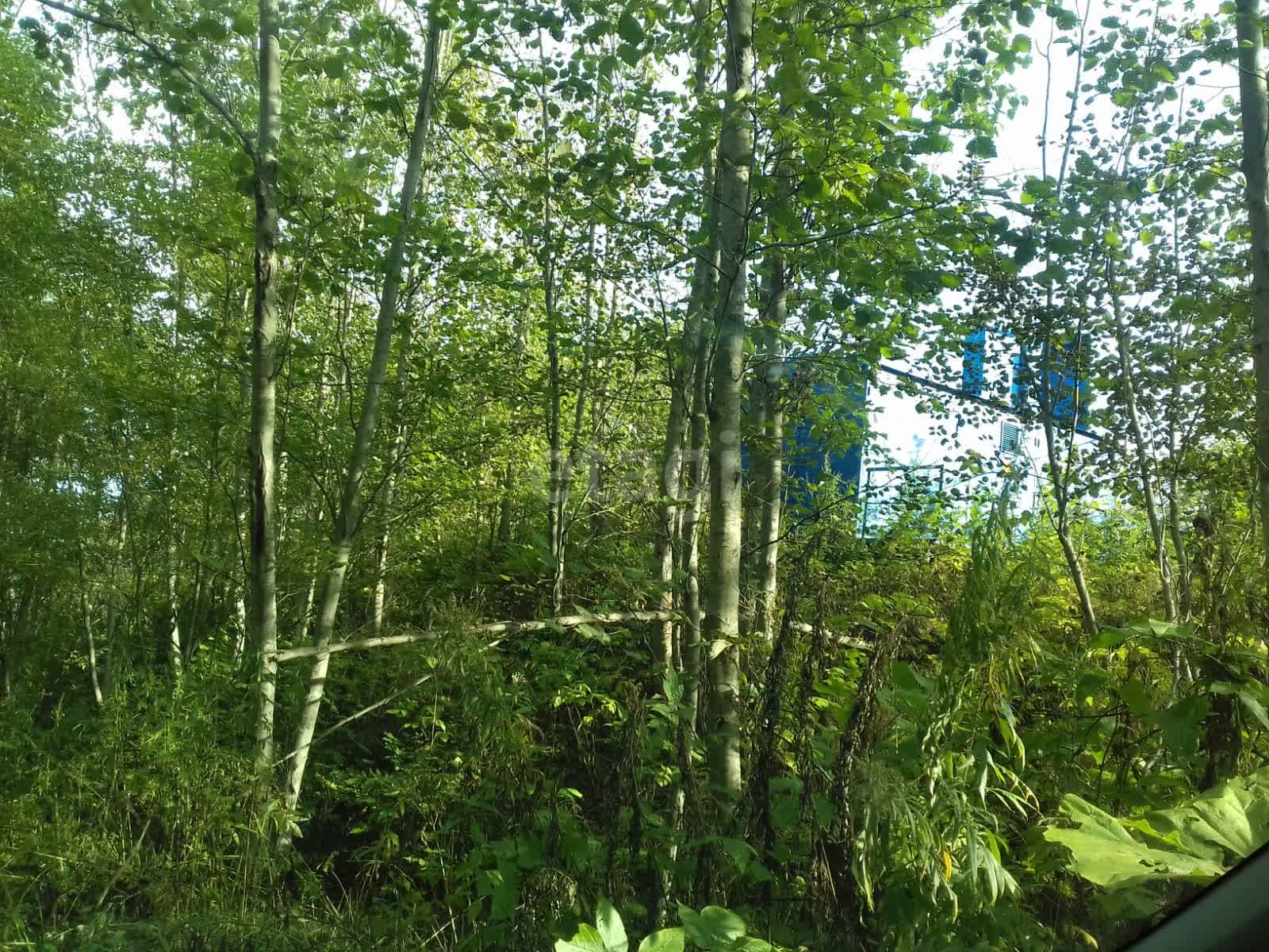 Продажа участка, Южно-Сахалинск, Сахалинская область,  Южно-Сахалинск