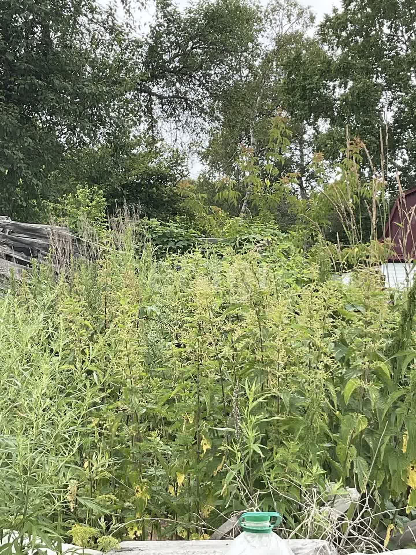 Продажа участка, Южно-Сахалинск, Сахалинская область,  