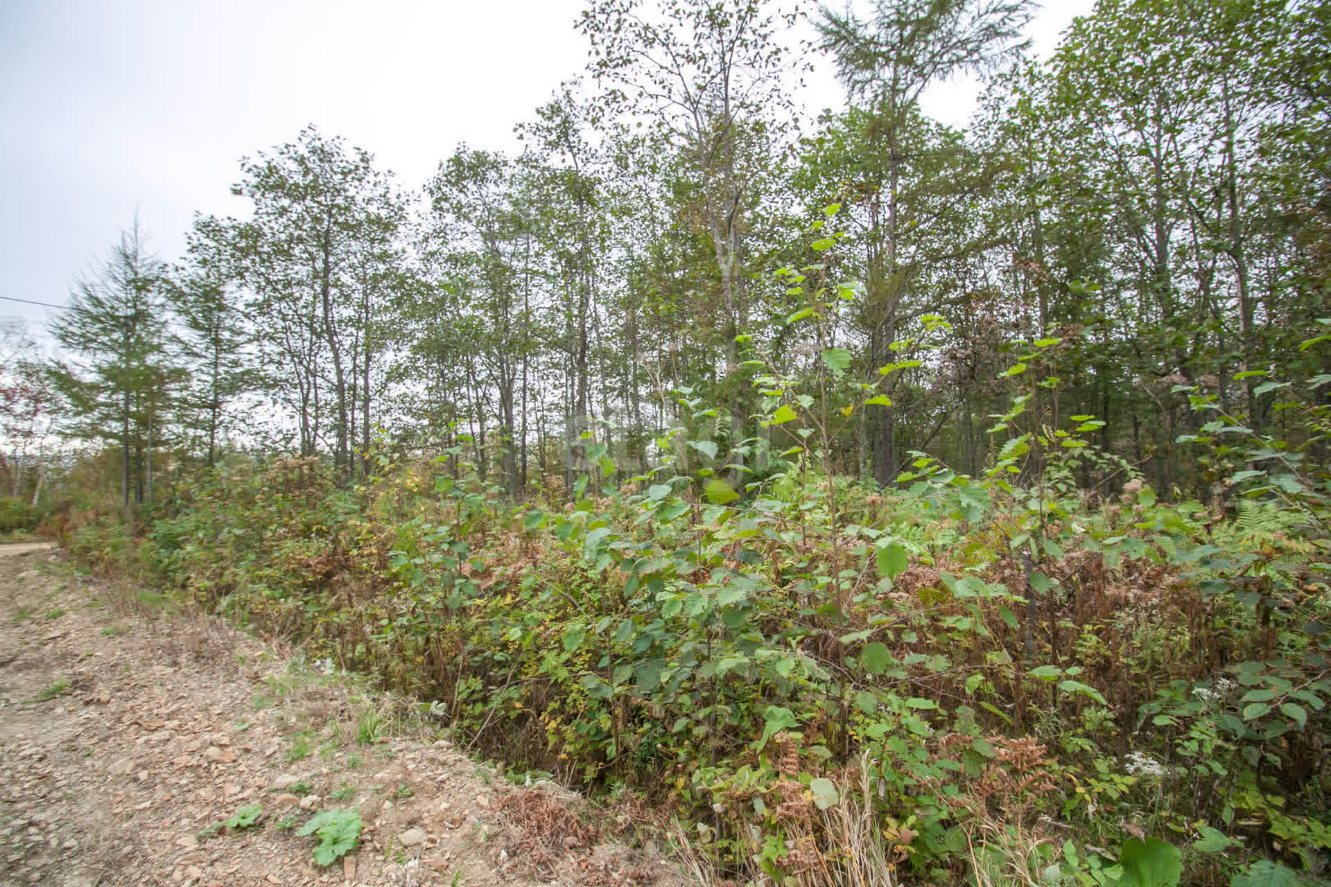 Продажа участка, Южно-Сахалинск, Сахалинская область,  Южно-Сахалинск