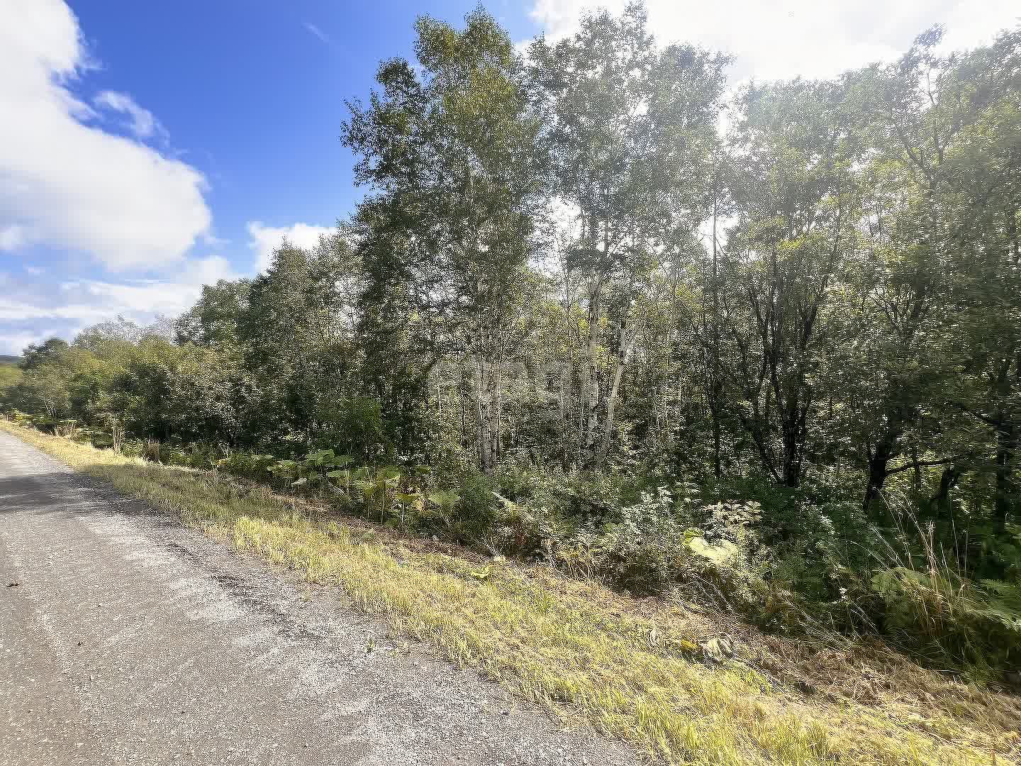 Продажа участка, Южно-Сахалинск, Сахалинская область,  Южно-Сахалинск