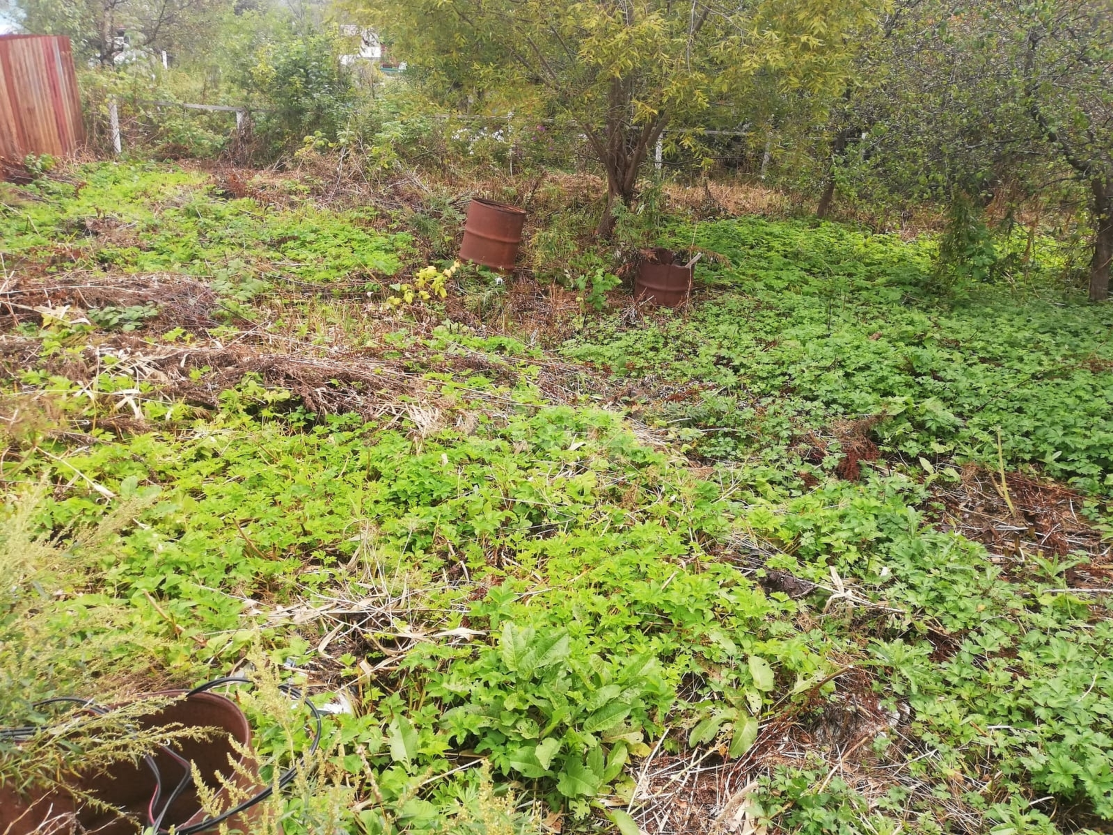 Продажа дачи, 30м <sup>2</sup>, 6 сот., Южно-Сахалинск, Сахалинская область,  