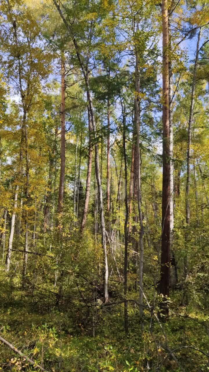 Продажа участка, Улан-Удэ, Республика Бурятия