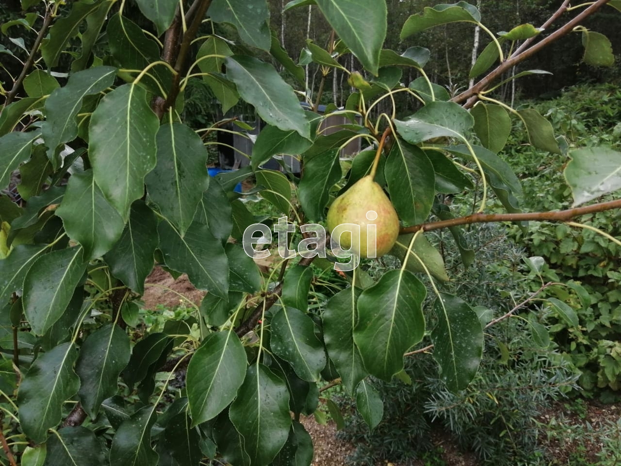 Продажа участка, Южно-Сахалинск, Сахалинская область,  