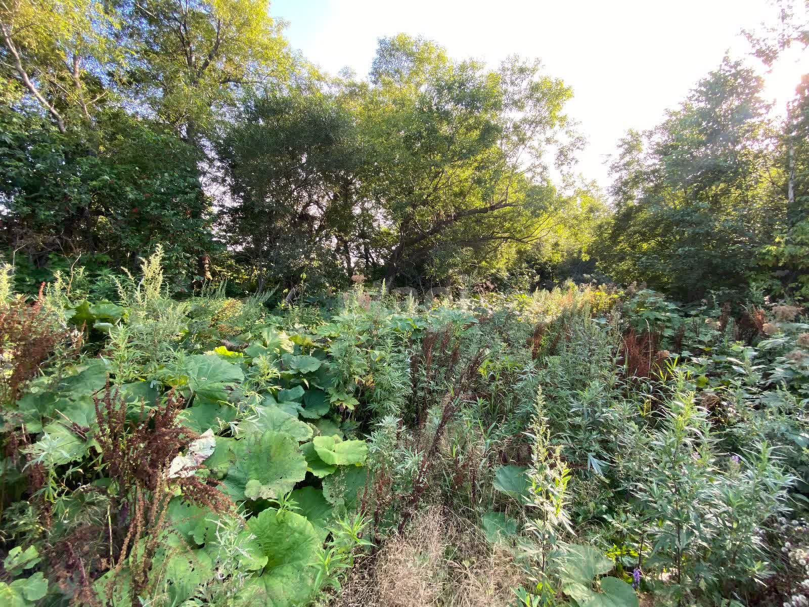 Продажа участка, Южно-Сахалинск, Сахалинская область,  Южно-Сахалинск