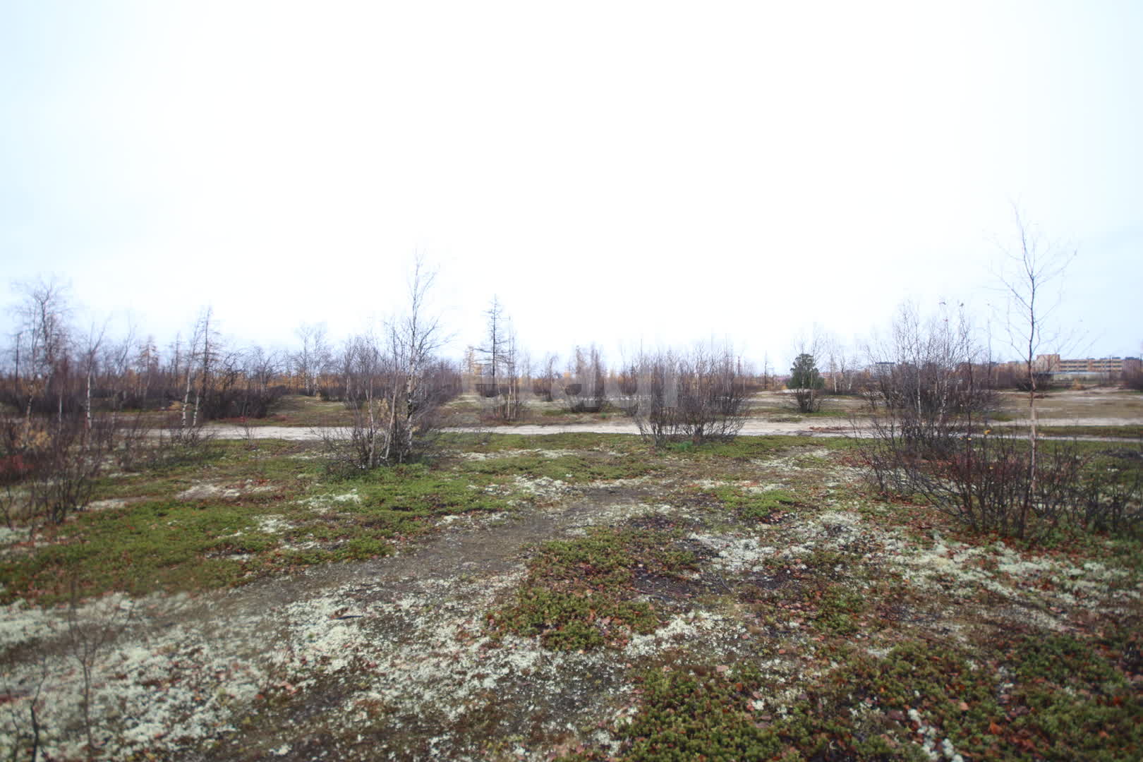 Продажа участка, Новый Уренгой, Ямало-Ненецкий АО,  Северная часть 