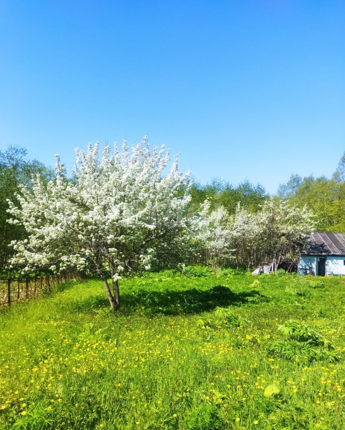 Продажа участка, Южно-Сахалинск, Сахалинская область,  Южно-Сахалинск