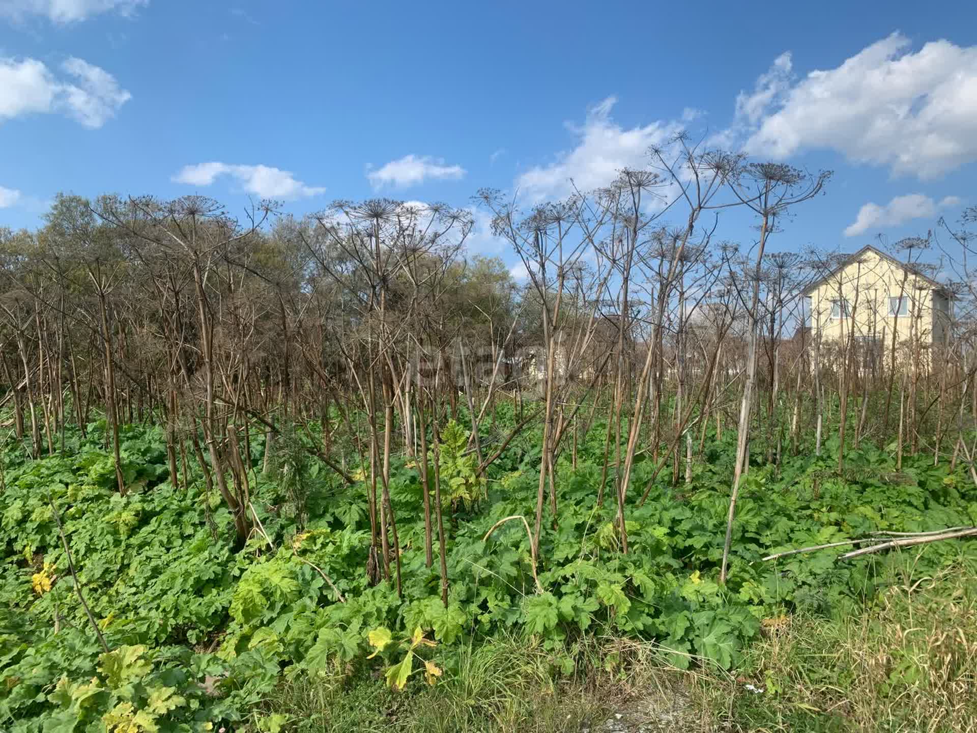 Продажа участка, Южно-Сахалинск, Сахалинская область,  