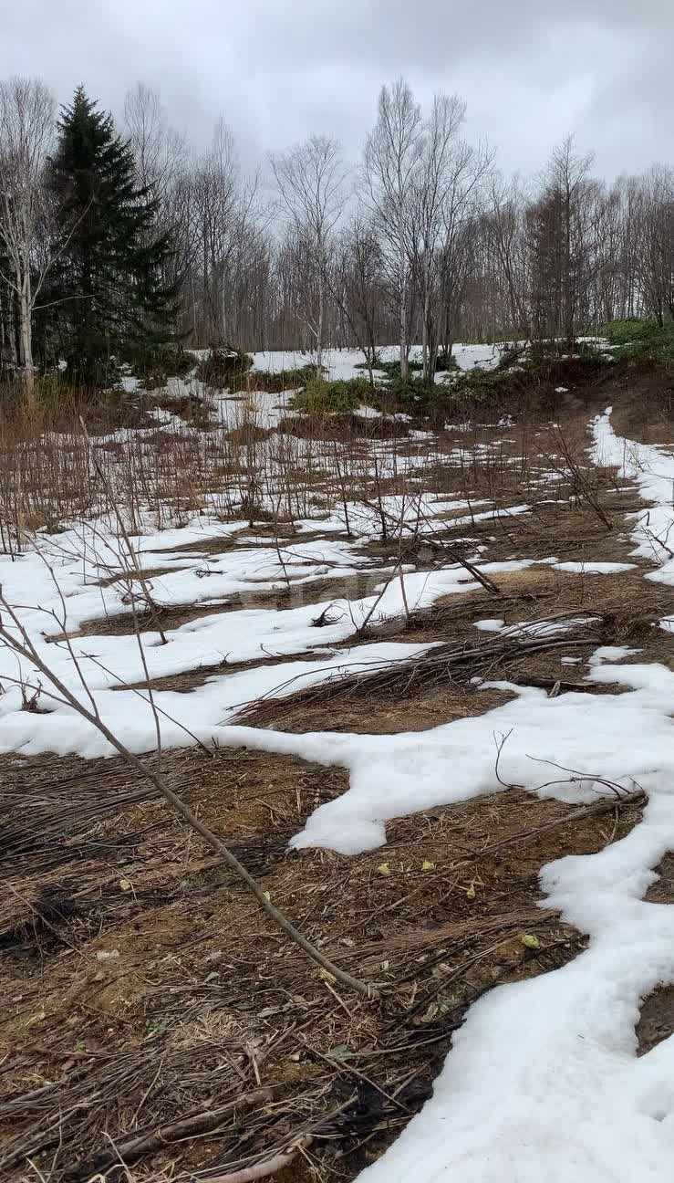Продажа участка, Южно-Сахалинск, Сахалинская область,  