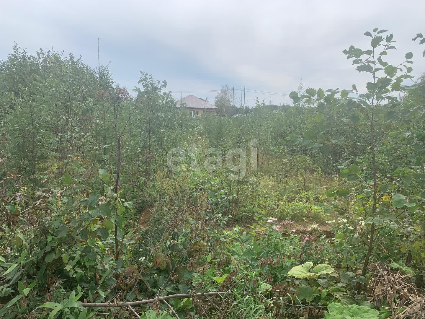 Продажа участка, Южно-Сахалинск, Сахалинская область,  Южно-Сахалинск