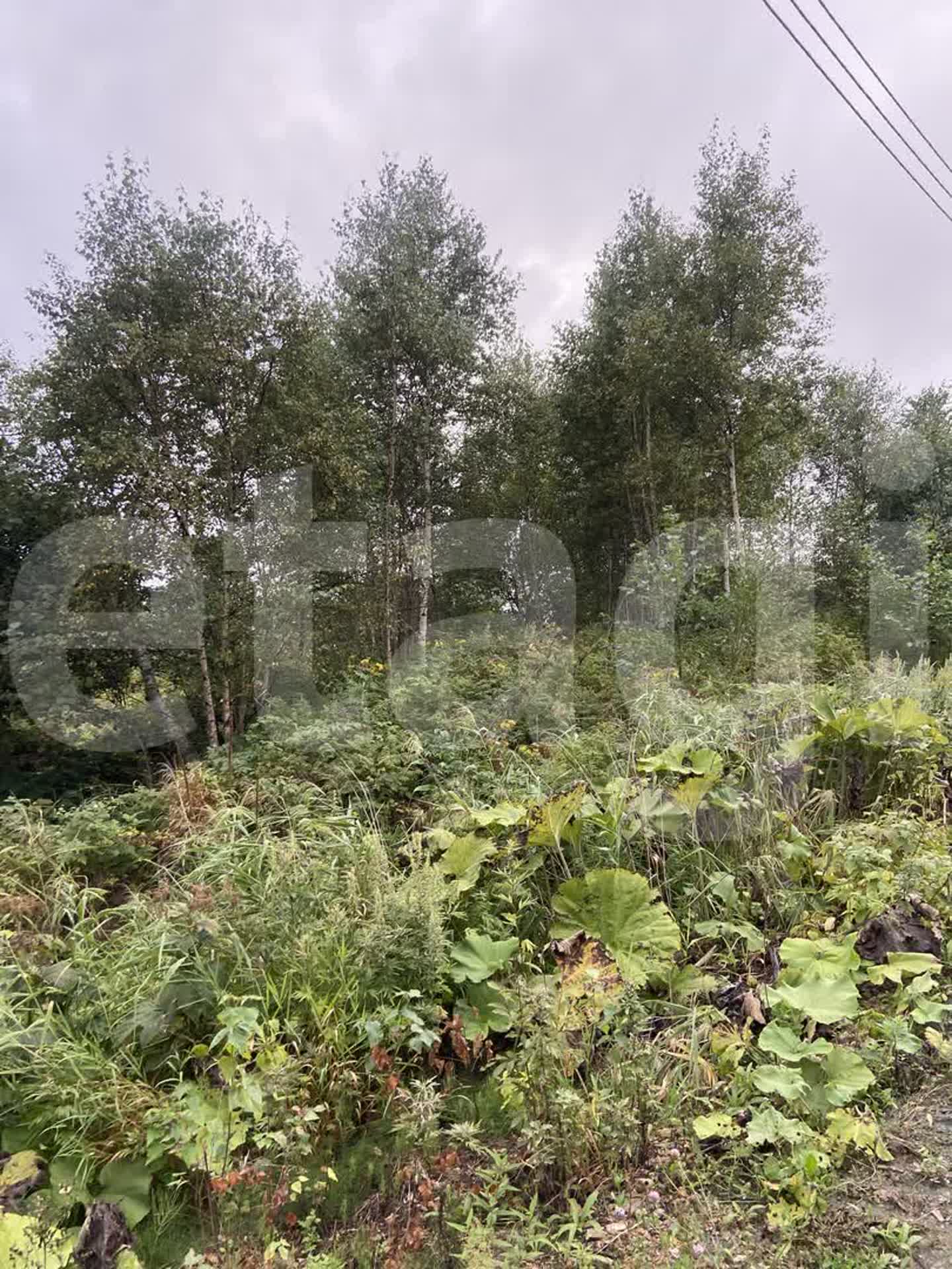 Продажа участка, Южно-Сахалинск, Сахалинская область,  