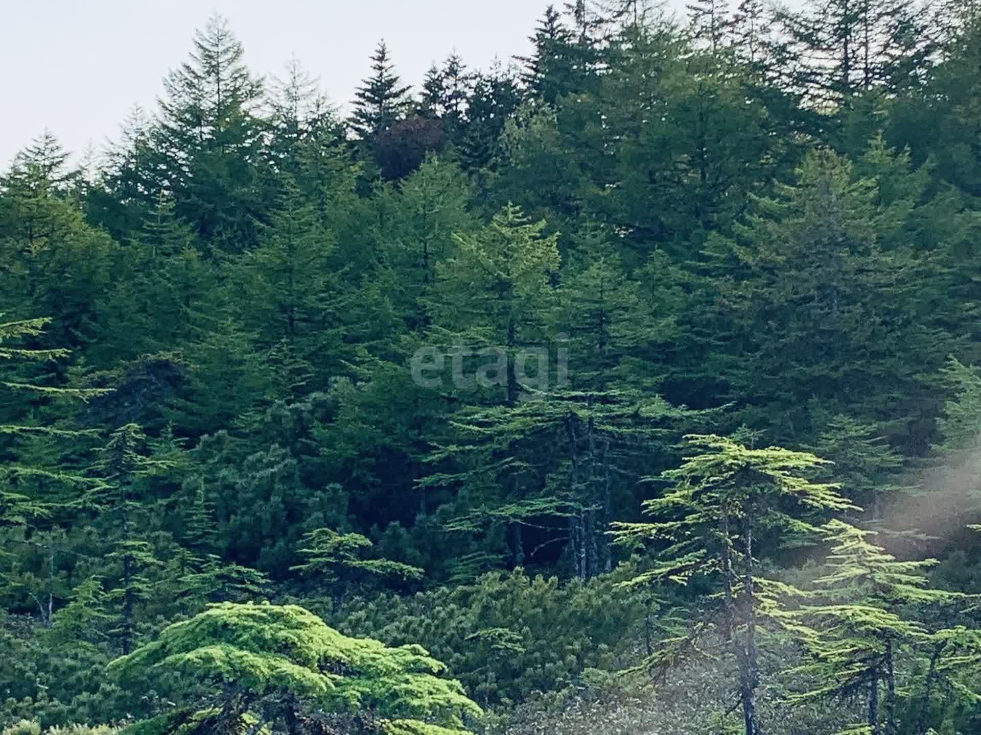 Продажа участка, Южно-Сахалинск, Сахалинская область,  