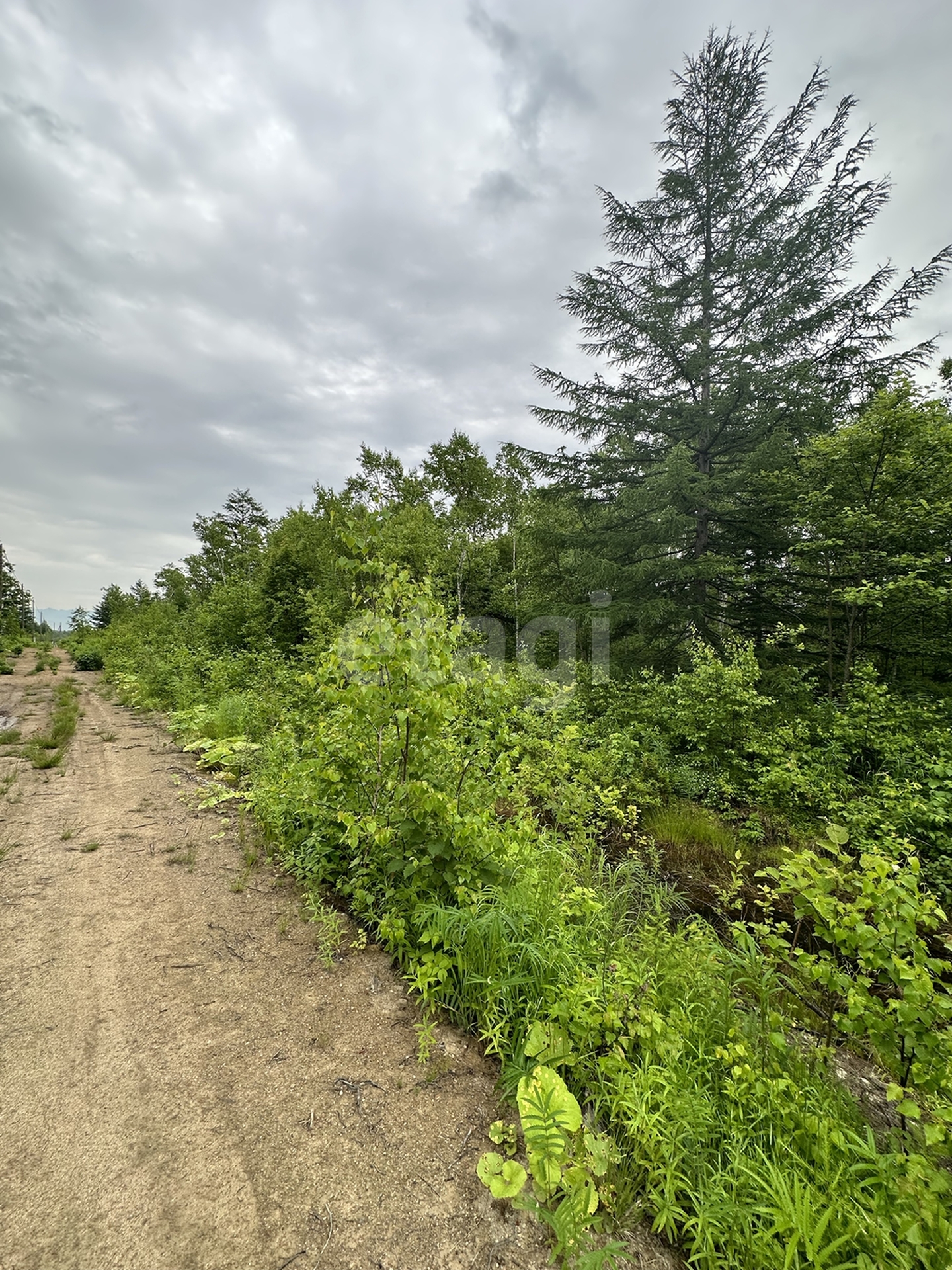 Продажа участка, Южно-Сахалинск, Сахалинская область,  