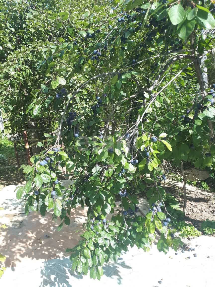 Продажа участка, Южно-Сахалинск, Сахалинская область,  