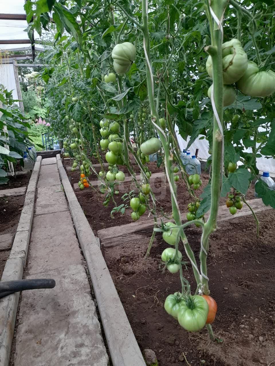 Продажа участка, Южно-Сахалинск, Сахалинская область,  